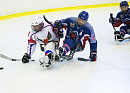 Финальный круг чемпионата России по следж-хоккею состоится с 9 по 18 апреля на РУТБ «Ока» в Тульской области